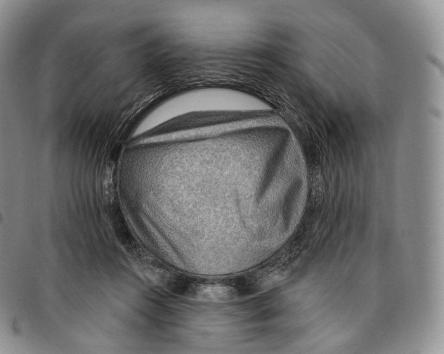 X0000096690360200803041305