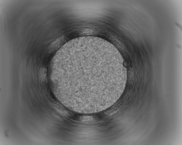 X0000096690361200803041305