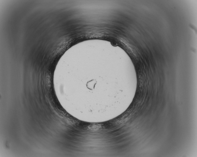 X0000096690362200803041305