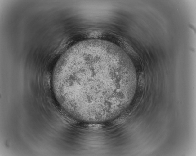 X0000096690363200803041305