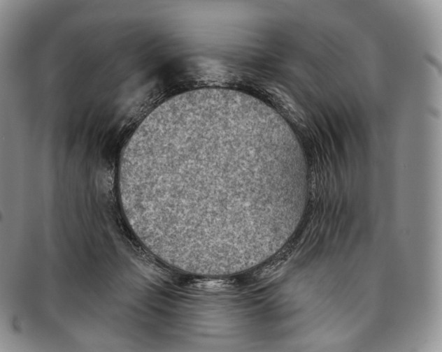 X0000096690365200803041305