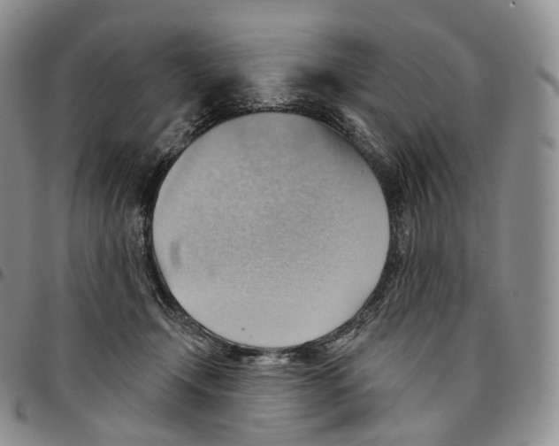 X0000096690366200803041305