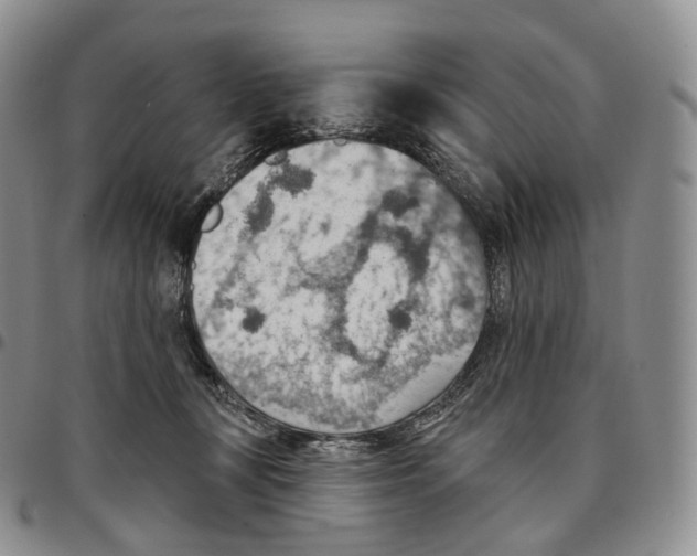 X0000096690367200803041305