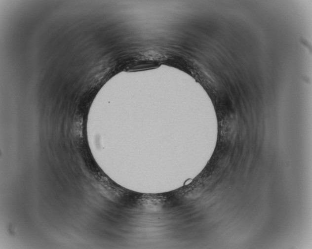 X0000096690368200803041305