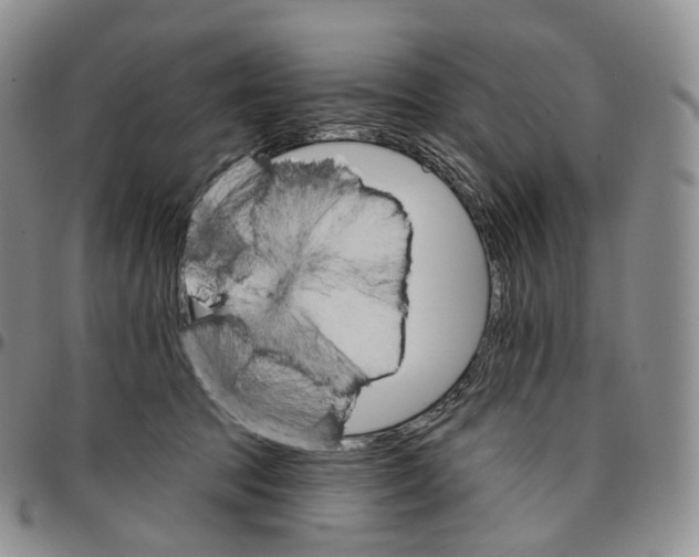 X0000096690369200803041305