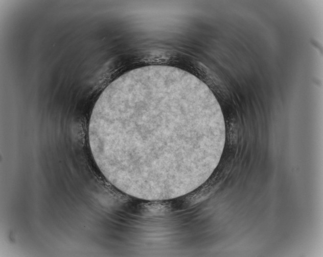 X0000096690370200803041305