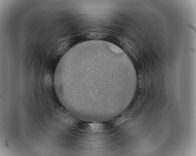 X0000096690371200803041305