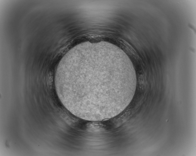 X0000096690372200803041305