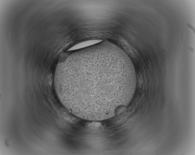 X0000096690374200803041305