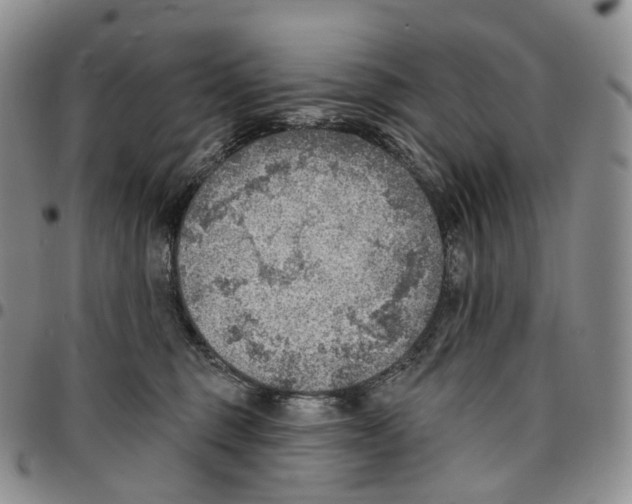 X0000096690375200803041306