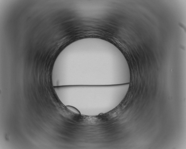 X0000096690379200803041306