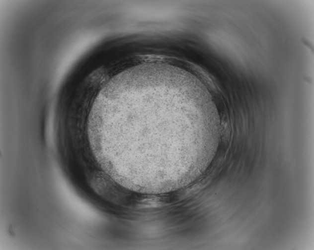 X0000096690381200803041306