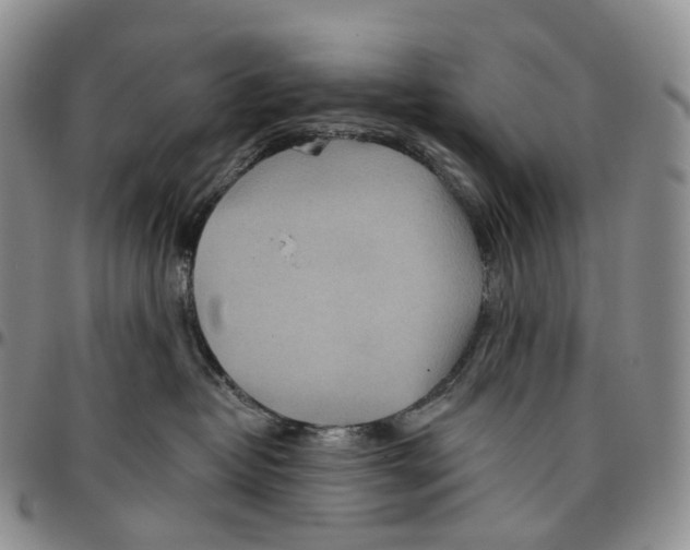 X0000096690382200803041306