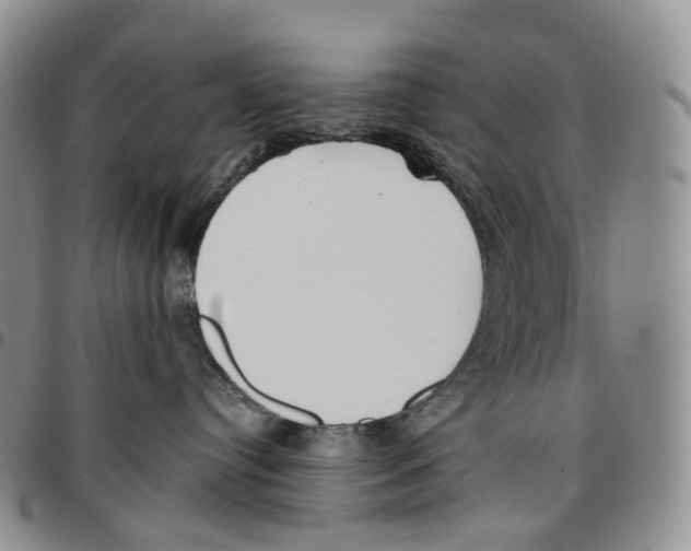 X0000096690384200803041306