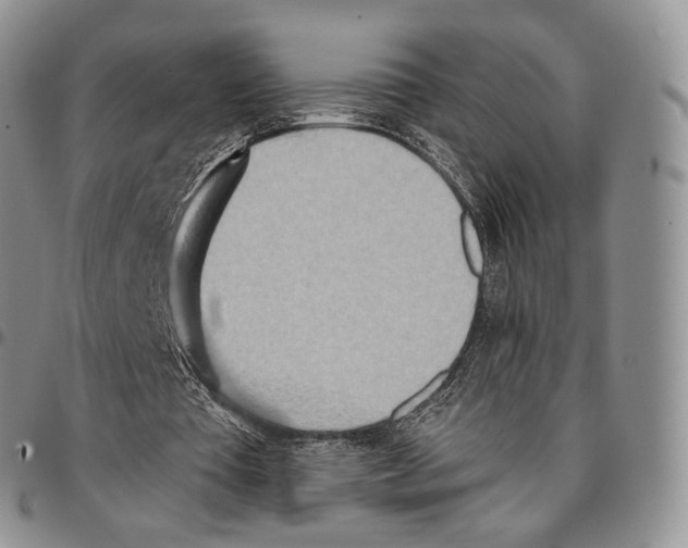 X0000096690385200803041305