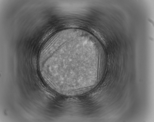 X0000096690386200803041305