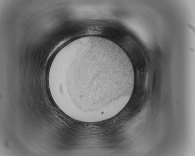 X0000096690387200803041305