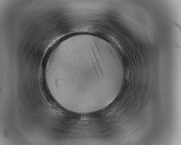 X0000096690388200803041305