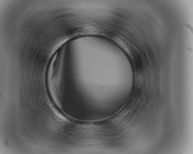 X0000096690389200803041305