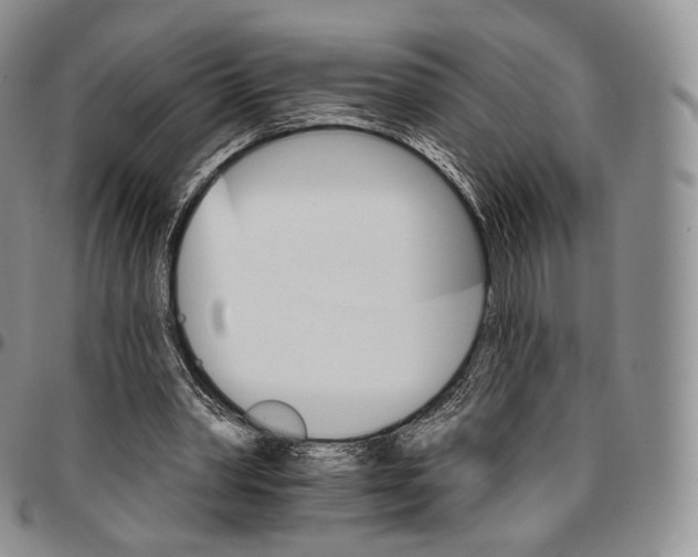 X0000096690390200803041305