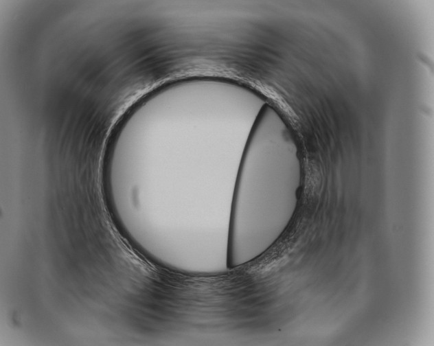 X0000096690391200803041305