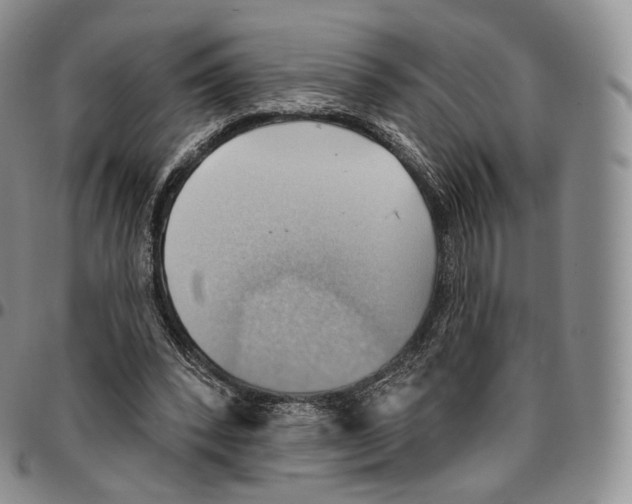 X0000096690392200803041305