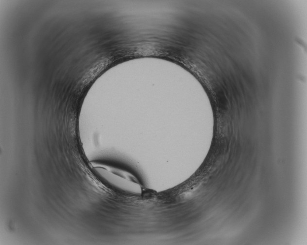 X0000096690393200803041305