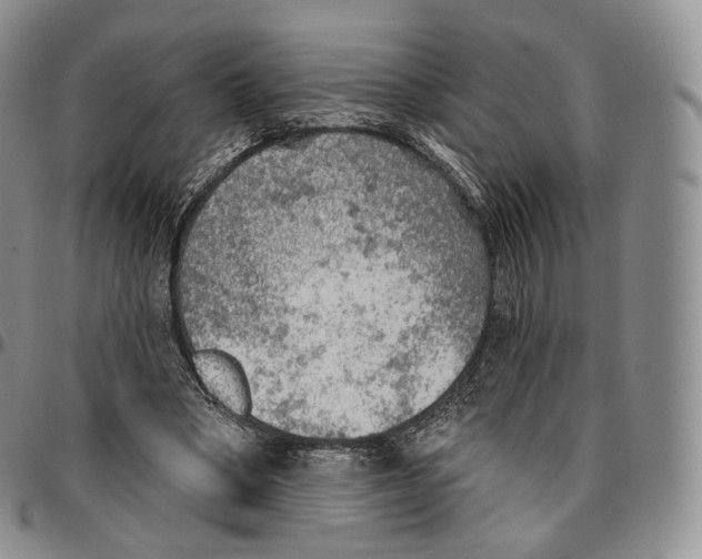 X0000096690394200803041305