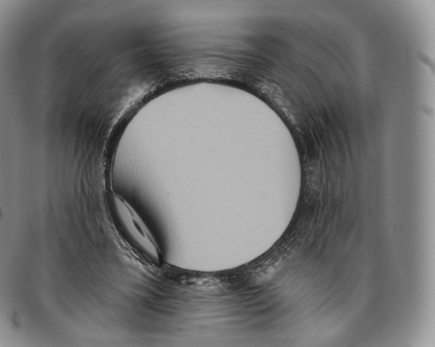 X0000096690395200803041305