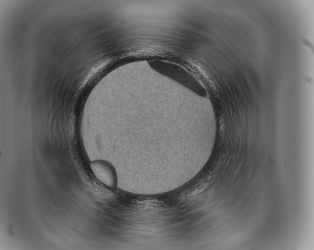 X0000096690396200803041305