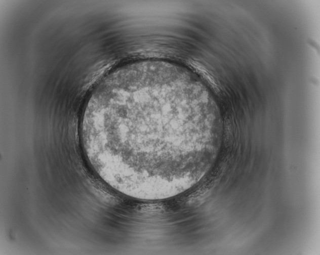 X0000096690398200803041305