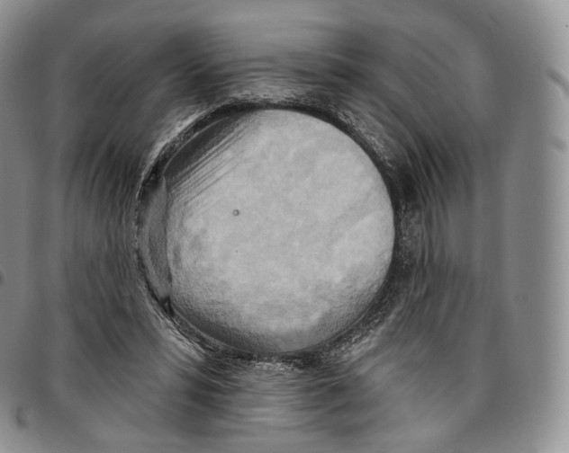 X0000096690399200803041305