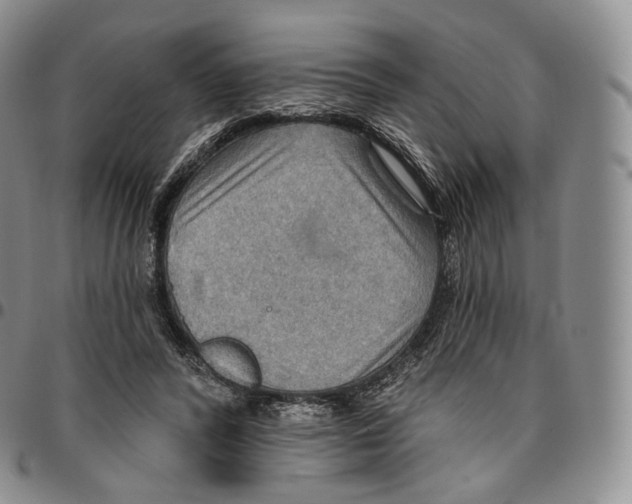 X0000096690400200803041305