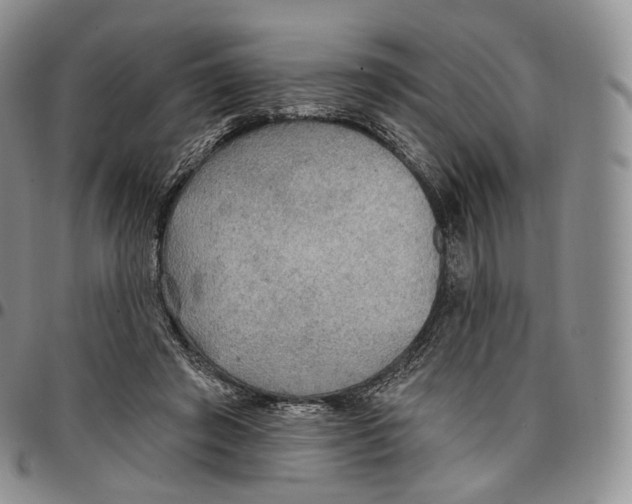 X0000096690401200803041305