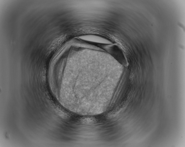 X0000096690402200803041305