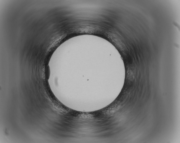 X0000096690403200803041305