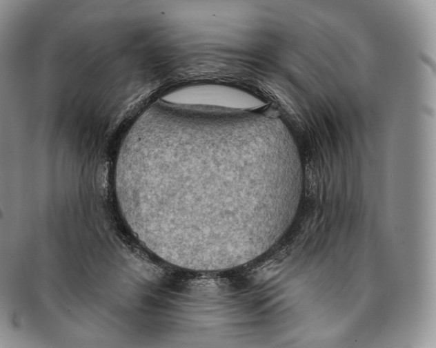 X0000096690404200803041305