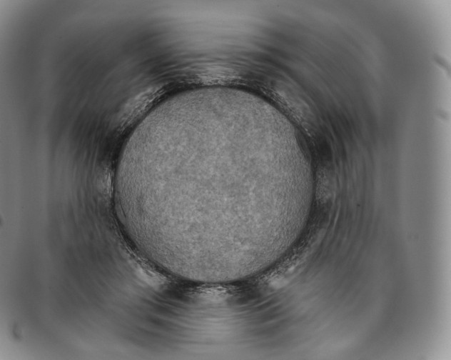 X0000096690405200803041305