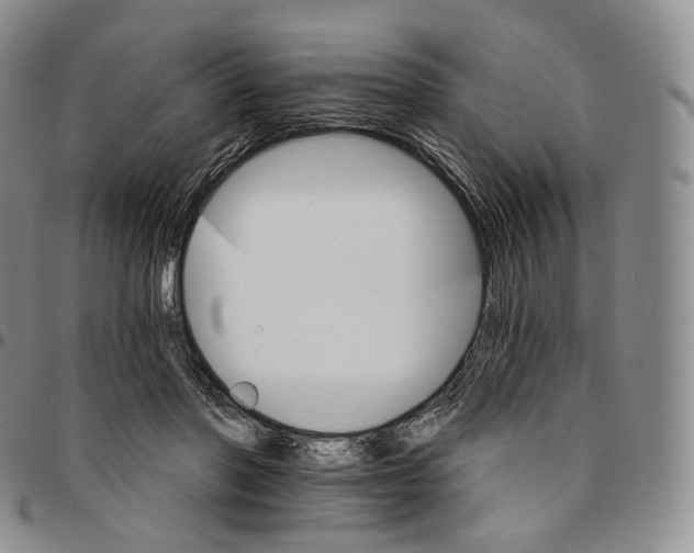 X0000096690406200803041305