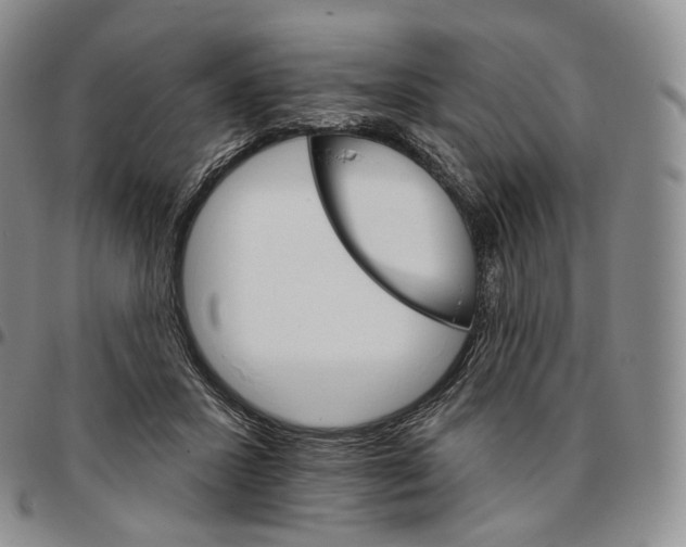 X0000096690407200803041305