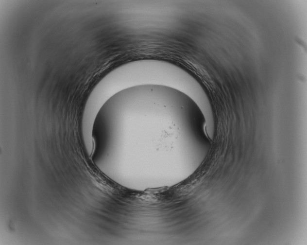 X0000096690409200803041305