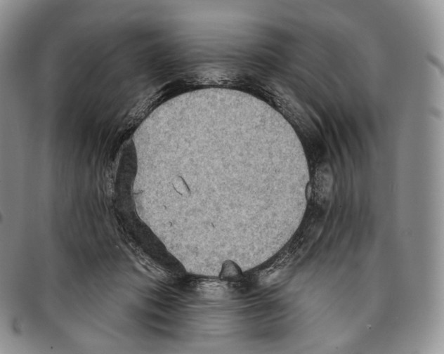 X0000096690413200803041305