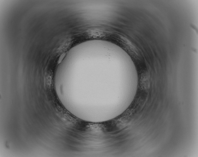 X0000096690417200803041305