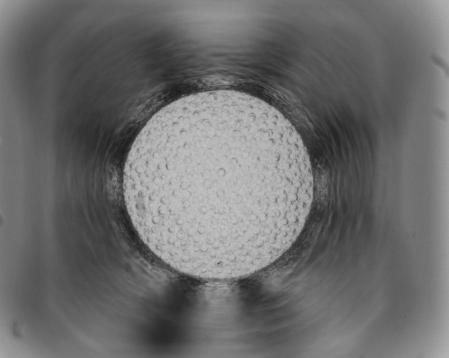 X0000096690418200803041304