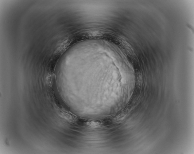 X0000096690419200803041304