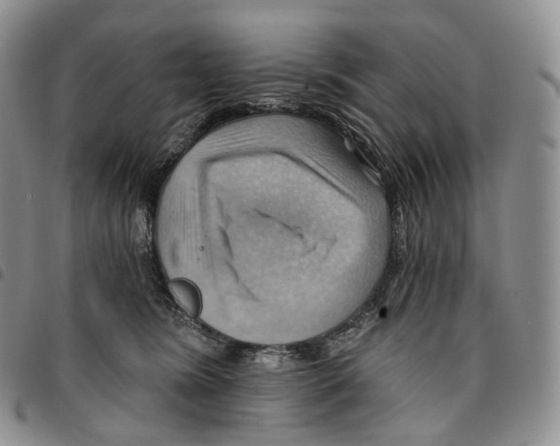 X0000096690420200803041304