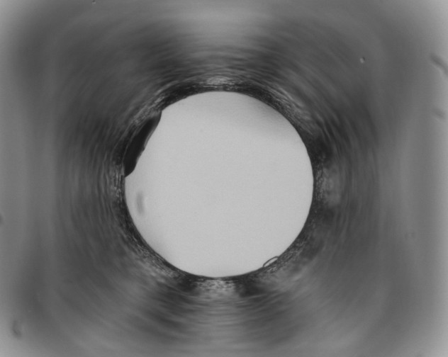 X0000096690421200803041304