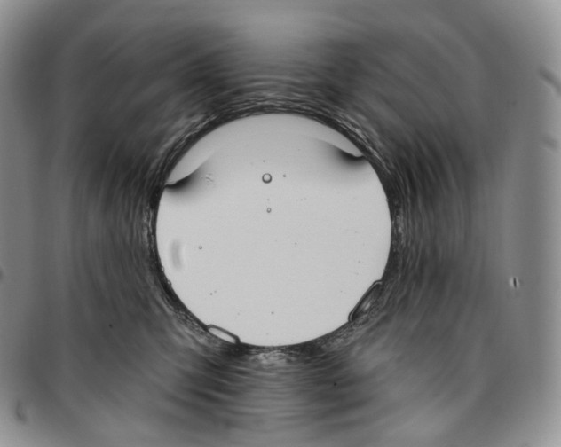 X0000096690423200803041304