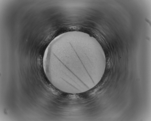 X0000096690424200803041304