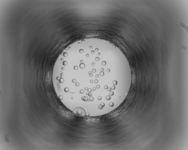 X0000096690426200803041304